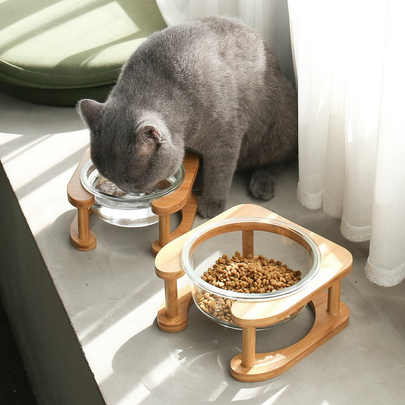Glass Cat Bowl and Dog Bowl with Neck Support (Double)