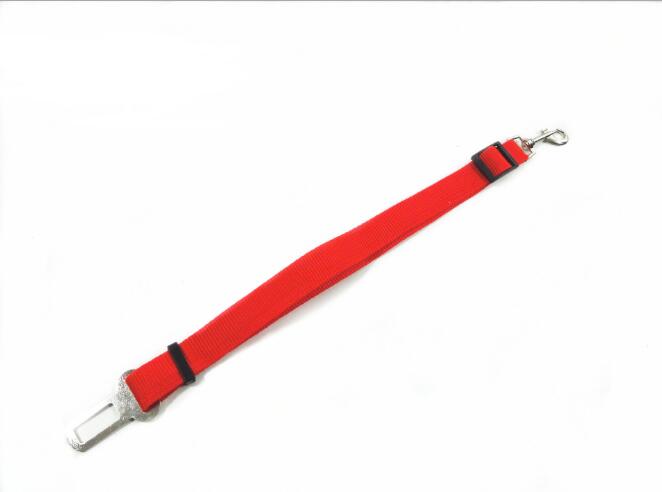 Dog Leash and Safety Harness