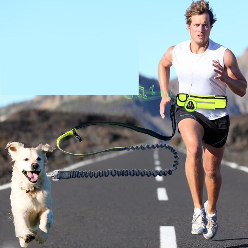 Waterproof Waist Bag with Leash