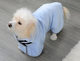 Quick-drying Pet Absorbent Towel