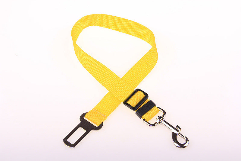 Dog Leash and Safety Harness