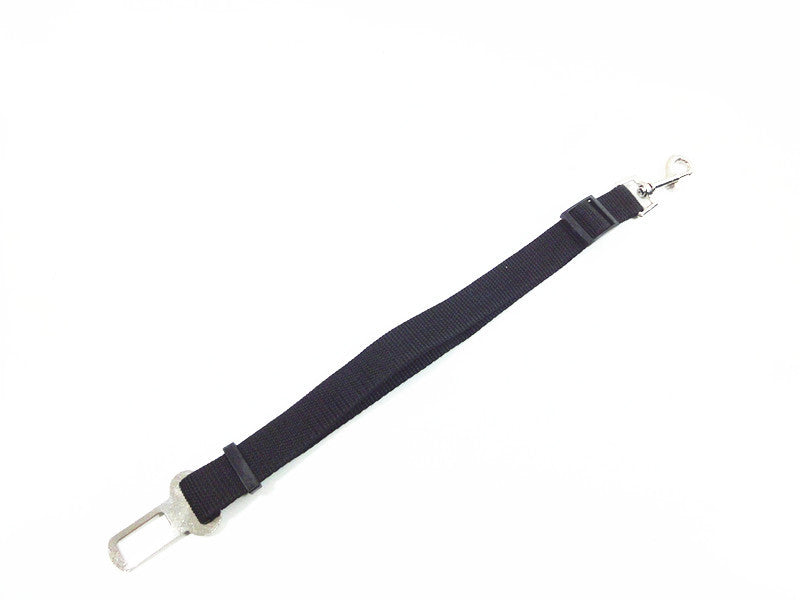 Dog Leash and Safety Harness