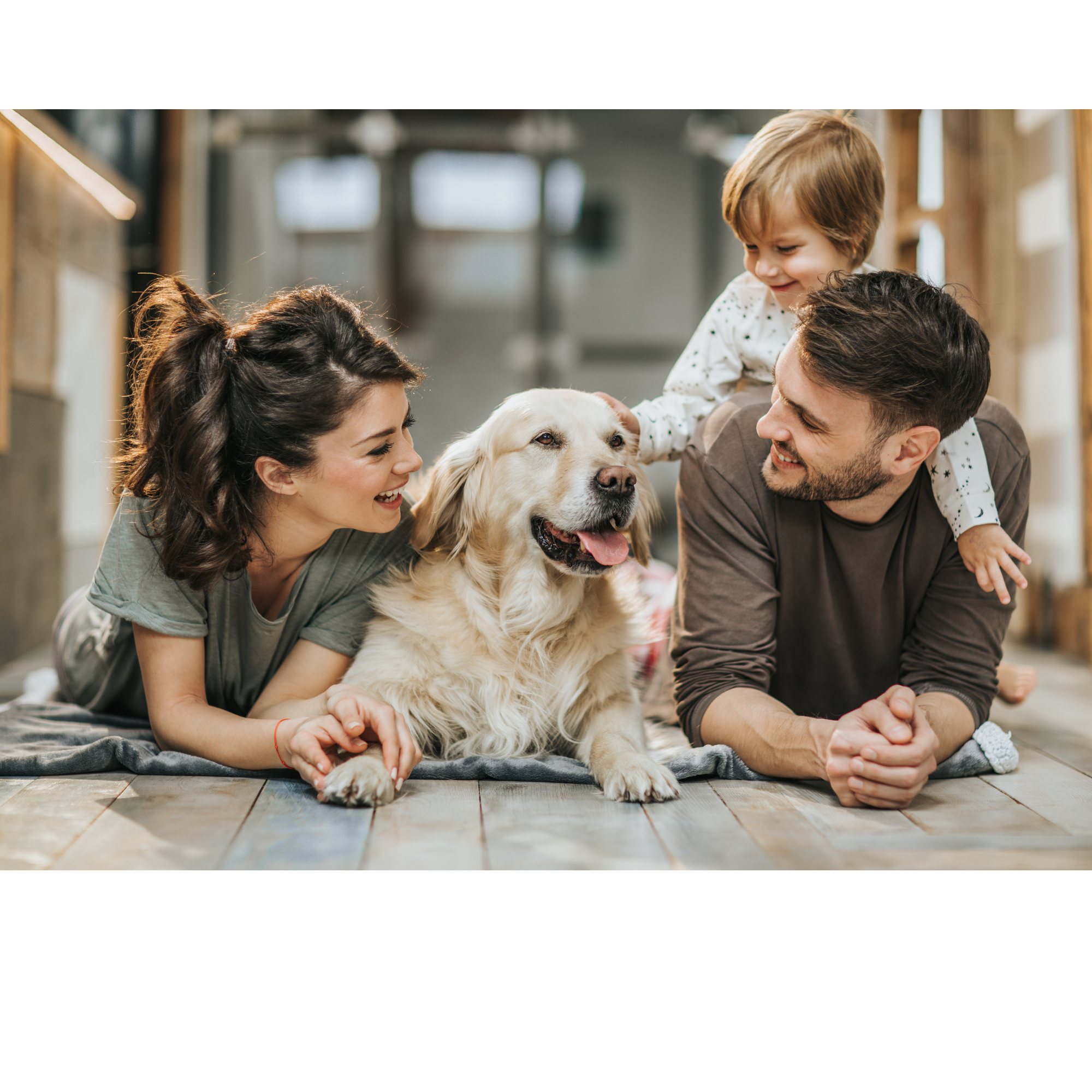 Family with a dog on a wooden floor