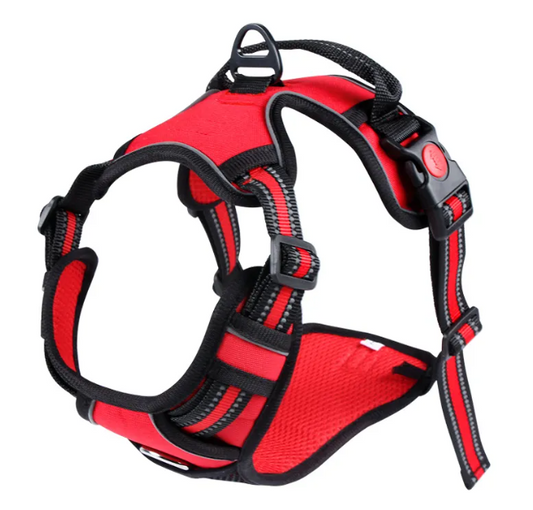 Oxford Pet Vest & Leash