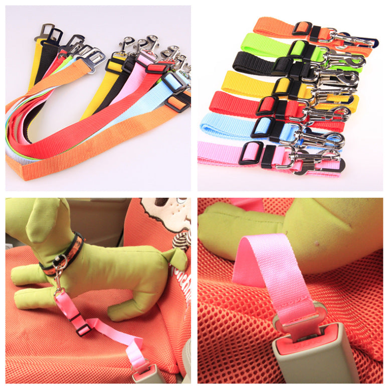 Dog Leash and Safety Harness